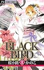 BLACK BIRD 第10巻