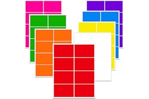 OUZOUSTATE Ououstate Removable Colored Labels Stickers 3" x 2" Moving Stickers Labels for Packing Boxes Large Color Coding Labels 256 Pack (Colorful)