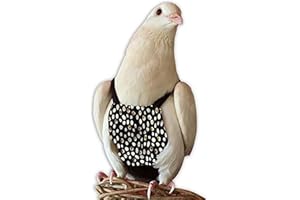 BEV'S BIRD BOUTIQUE Bev's Birds Boutique Flyper Adjustable Bird Diaper | Reusable, Washable Cloth | Comfort Fit for Parrots, Cockatiels, and Other Small Birds | Fashionable Avian Accessories - Touch of Class 9