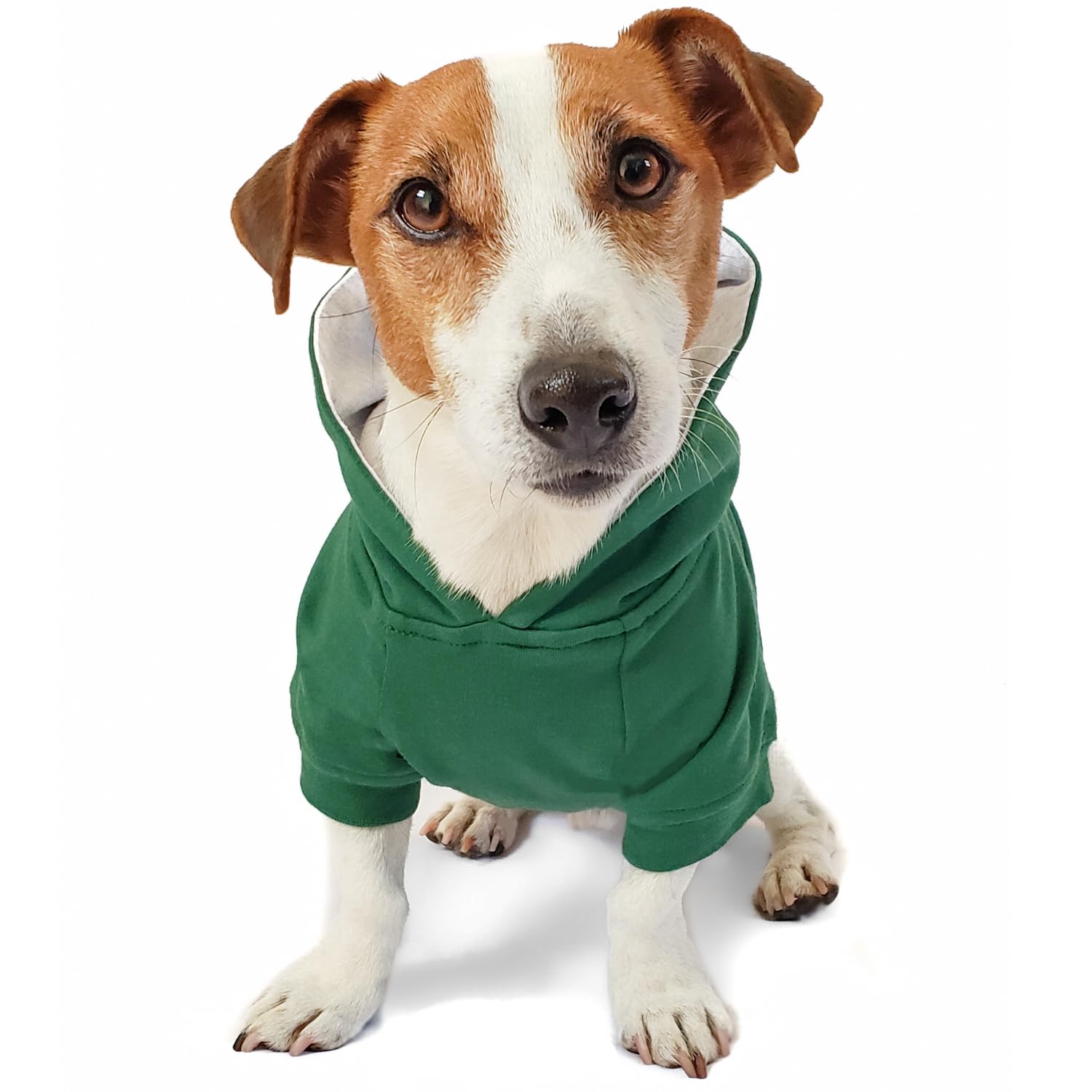 DJANGO Fully Lined Hoodie for Dog - Soft, Stretchy, and Cozy Sweatshirts for Dogs - Forest Green Winter Dog Sweaters for Dachshunds and Small Dogs - Warm Dog Hoodie Medium with Elastic Waistband