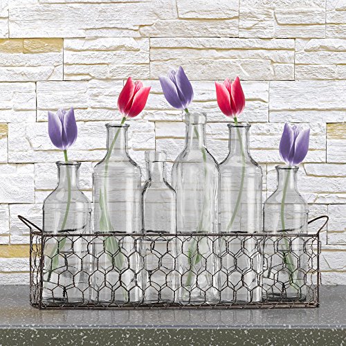Bud Flower Vases In Chicken Wire Basket for Window-Sill Display, Decorative Storage, Party or Wedding Centerpiece - Clear Glass 6-piece Assorted Home Decor Set