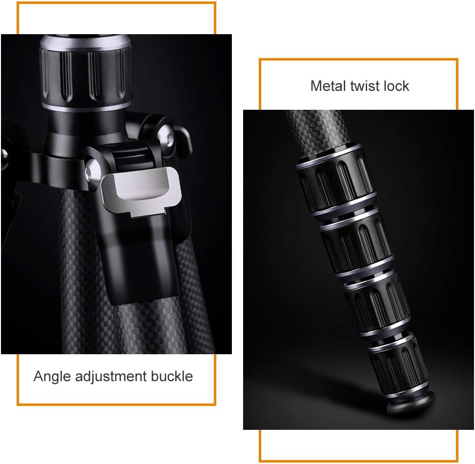 K&F Concept 61" Carbon Fiber Camera Tripod, B210 Professional Lightweight Compact Tripod with 2 Sections Central Column 360 Degree Ball Head and Carrying Case for Digital Camera/Camcorder : Camera & Photo