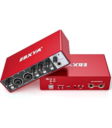 Depusheng USBオーディオインターフェイス Amazon.com: Depusheng RX2 usb audio interface computer