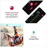 Polar H10 Heart Rate Sensor Equine with Handle Unisex Adult Black One Size view 5