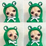 XIAOYU Puppy Dog Hoodie Clothes Small Medium Pets Fruit Hoodie L view 7