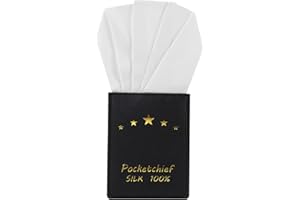 VICHERIA Pre-Folded White Silk Pocket Squares for Men, Handkerchief Accessories Pocket Square Holder for Men's Suit, Jacket