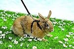 Niteangel Adjustable Harness with Lead, Suitable for Most Rabbits (Black)