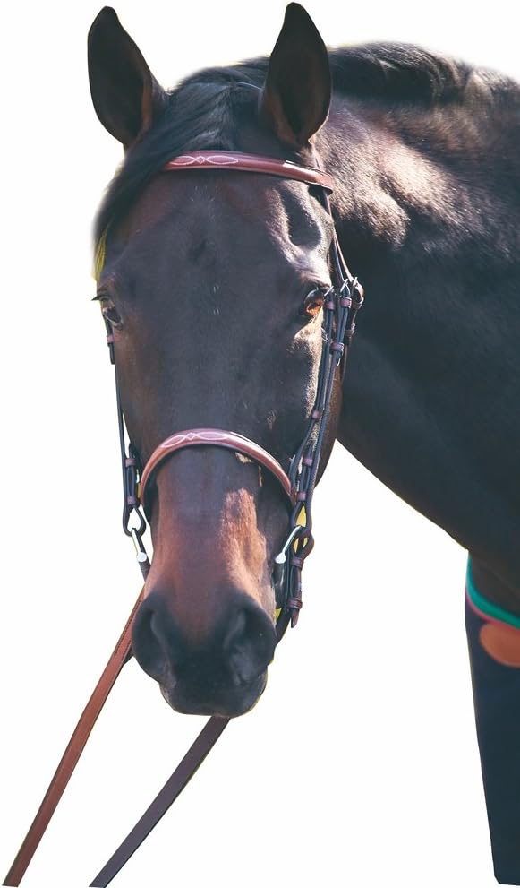 Hdr Henri De Rivel Fancy Raised Snaffle Bridle - Color: Oakbark Size: Cob