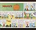 Peanuts: The Art of Charles M. Schulz