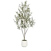 VIVATREES Olive Trees Artificial Indoor, 5FT Tall Faux Olive Tree with White Tall Planter, Artificial Plants with Natural Wood Trunk and Lifelike Fruits for Home Office Decor