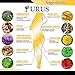 Weight Loss Urus Pills - Work Fast for Women and Men, Diet Pills, Fat Burner, Carb Block & Appetite Suppressant