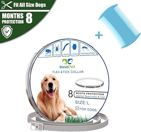 amazon dog flea collars