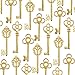 Aokbean Mixed Set of 30 Vintage Skeleton Keys in Antique Gold - Set of 30 Keys(Gold)
