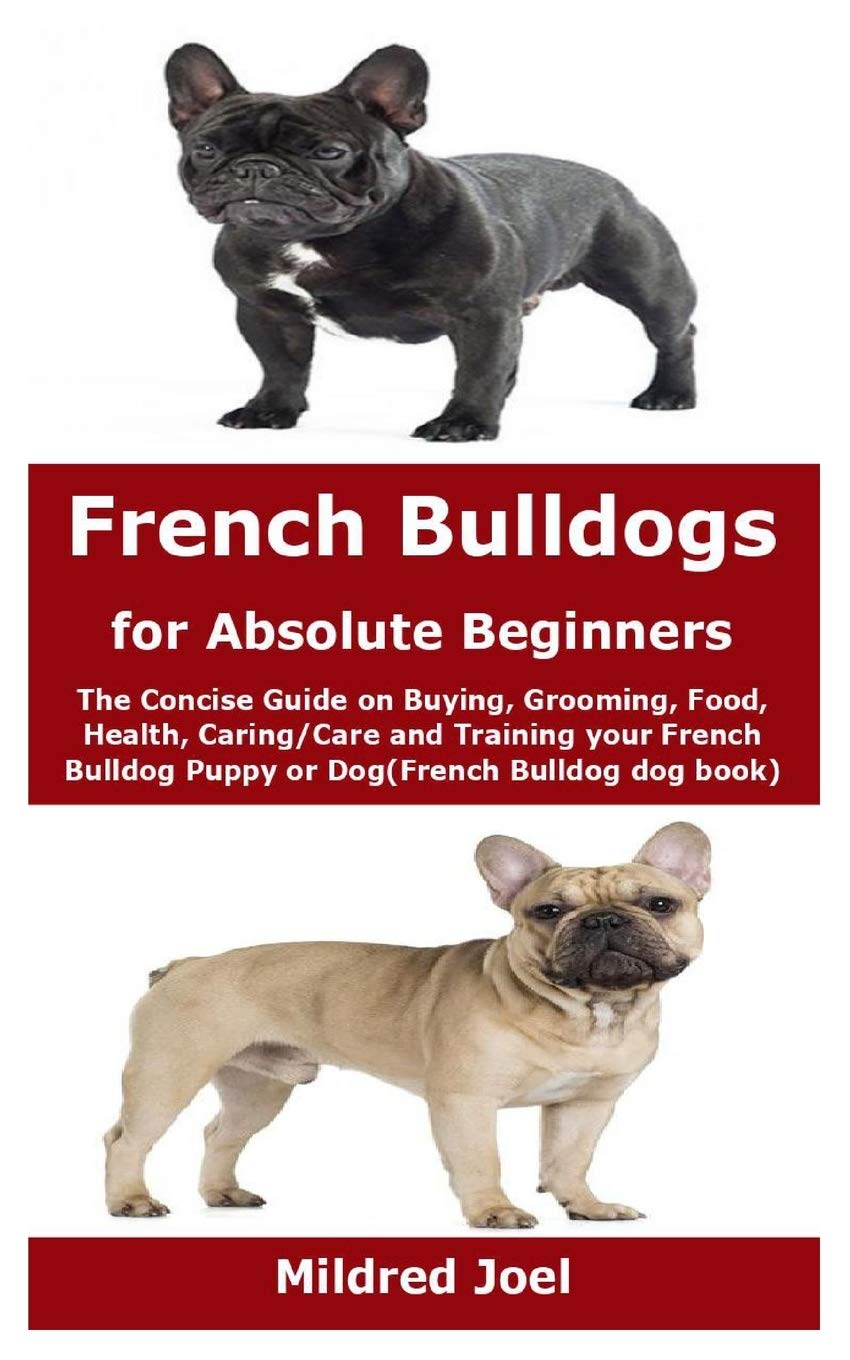 french bulldog care
