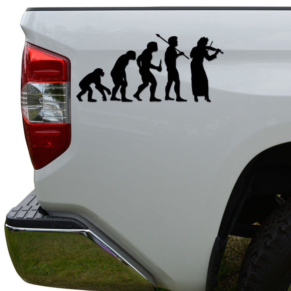 Ape Human Evolution of