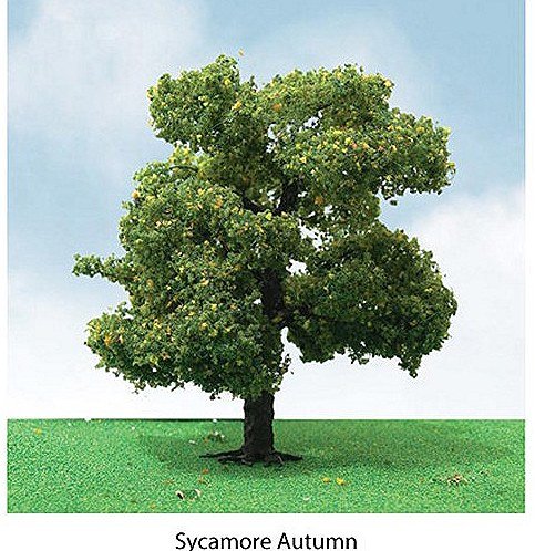 Pro-Elite Tree, Sycamore 3.5-4" (2)