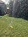 WATERBONE: First Water Sprinkler for Dogs!