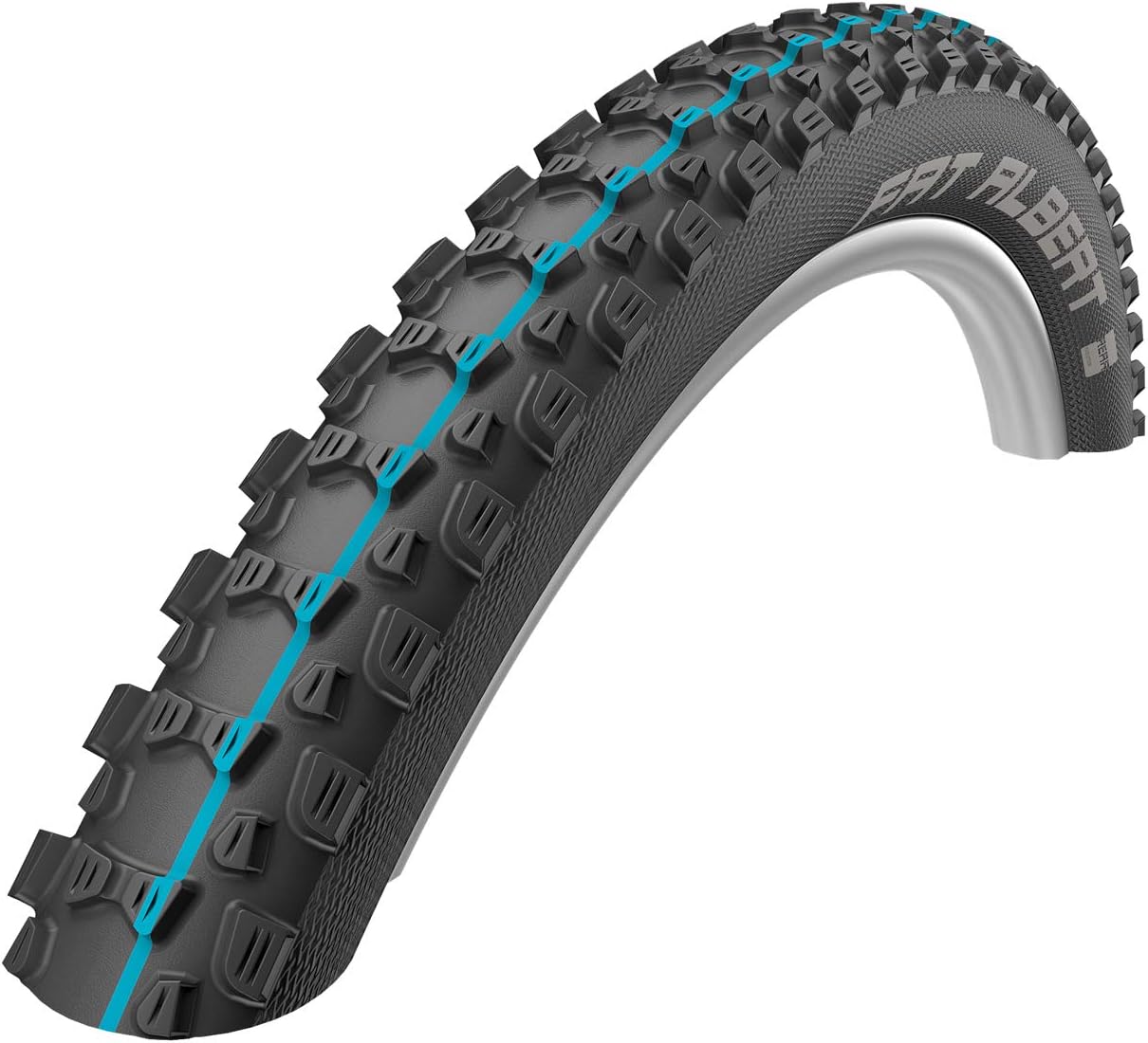 schwalbe fat albert review