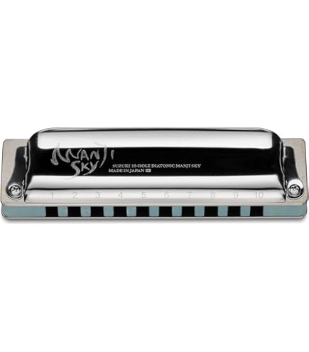 Amazon.com: Promaster Harmonica Key: C : Everything Else