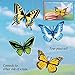 Butterfly Screen Door Magnet - Set Of 4