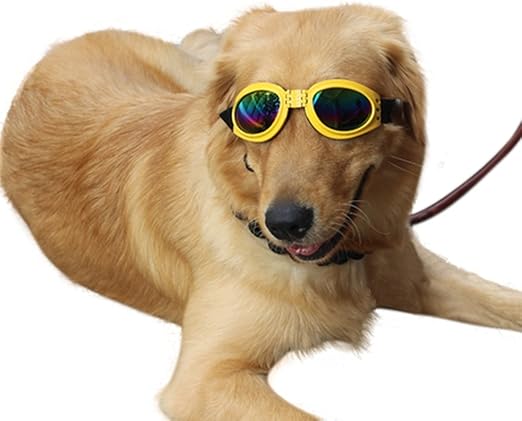 goggles for dogs amazon