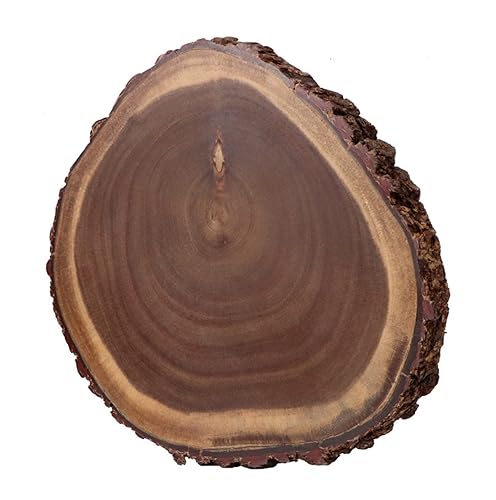 Live Edge Wood Slab Natural Wooden Serving Platter Round Acacia