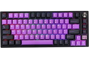 EPOMAKER TH80 SE Gasket 75% Mechanical Keyboard, NKRO Hot Swappable RGB 2.4Ghz/ Bluetooth 5.0/ Wired Gaming Keyboard with Poron/EVA Foam, 4000mah Battery (Black Purple, Gateron Pro Black)