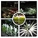 avepio Solar Lights Outdoor, Solar Powered Pathway Lights Bright White, Waterproof Landscape Light for Garden,Lawn,Patio,Yard,Walkway,Driveway (12 Pack)