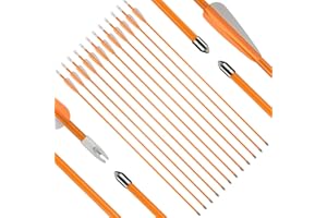 Fiberglass Youth Arrows, Archery Target Shooting Practice Safetyglass, Suitable for Youth Woman Beginner, for Recuve Bow,12pc