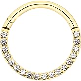 BLISI G23 Titanium Nose Rings Hoop Septum Clicker 16G Hinged Nose Segment Ring Hoop 8mm/9mm/10mm Cubic Zirconia Cartilage Earrings Conch Daith Helix Rook Tragus Ear Body Piercing Jewelry