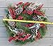 The Wreath Depot Somerset Winter Red Berry Wreath 24 Inch, Full Artificial Winter Wreath Design, Beautiful White Gift Box