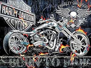 Kit de pintura de diamantes 5D Harley Davidson Born to Ride para
