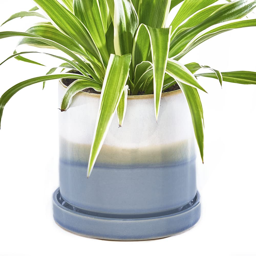 Chive - Minute, Succulent, Cactus Pot and Saucer Ceramic Flower and Plant Container with Drainage Hole and Detachable Saucer Great for Indoor/Outdoor Garden Decor (Blue Layer)