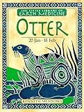 Otter (Little Earth Medicine Library) by 