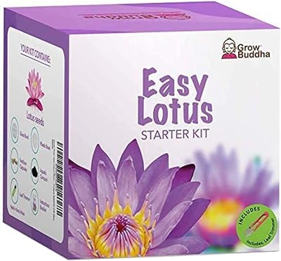 Grow Buddha Lotus Kit – Complete Beginner Seed Starter Kit with Vase &