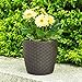 Indoor Outdoor Patio Garden Self Watering Wicker Planter, Raised Flower Herbs Succelents Plant, with Rolling Wheels (Brown)