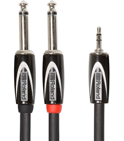Amazon.com: Roland 6in Interconnect Y Cable, XLR(Female) - Dual