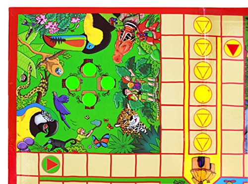 Snakes & Ladders and Ludo Board Game