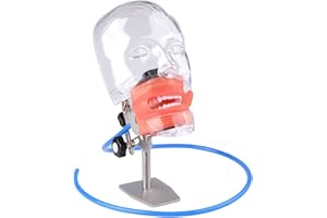 BONEW-Oral Dental Simulator Manikin Phantom Head Model with 28Pcs Teeth Dentist Educational Teaching Model Fix on (Table Stan