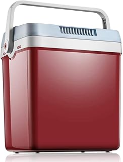 portable cooler warmer 12v