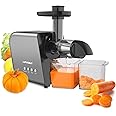 Carrot Juicer Machines, Cold Press Juicer Extractor for Vegetables and Fruits, Electric Slow Masticating Juicer with 2-Speed
