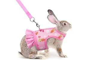 TELEYI Rabbit Harness and Leash, Escape Proof Bunny Harness and Leash Set, Cute Bunnies Vest Clothes Stuff Walking Accessories Ferret Kitten Puppy Small Pet Animals, Pink L