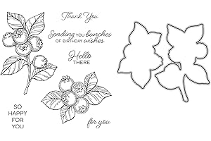 Berry Branches Dies and Stamp Sets for Card Making DIY Scrapbooking, Thank You, Sending You Bunches of Birthday Wishes, Hello