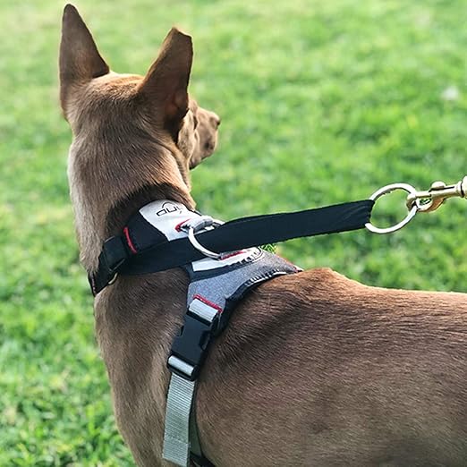 DUO TECHNICAL GEAR 'Adapt' AntiSlip Dog Harness (Small