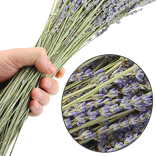 Oopsu 200Pcs 100% Natural Dried Lavender Dried Lavender Flowers for DIY Flower Arrangements Home Party Wedding Decor