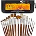 Paint Brushes Set - Acrylic Oil Watercolor Gouache Painting Brushes - Badger hog Bristle Synthetic Brushes - Artist Canvas Art Paint Brush Kit with a Free Pop Up Case - Long Handles - 15 Pieces