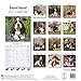 Basset Hound Calendar 2017 - Dog Breed Calendars - 2016 - 2017 wall calendars - 16 Month by Avonside