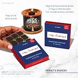 Aromafume Nag Champa Incense Bricks & Tree of Life Burner Set view 2