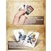 GameIsland Standard Size NFC Cards 22 PCS Include Four Champions For The Legend of Zelda Breath of the Wild - Switch / Wii U