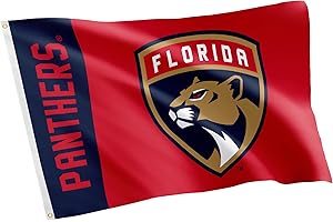 Desert Cactus Florida Panthers Flag NHL 100% Polyester Indoor Outdoor 3x5 feet National Hockey League Team Flags (Name Flag)